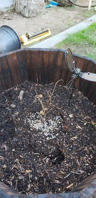 New Life Nursery & Garden