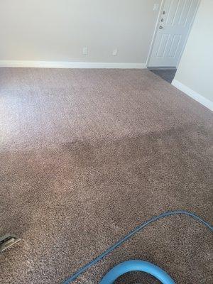 Dirtbusters cleaning services