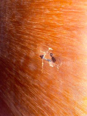 Stewart Moving & Storage