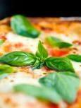 Our Classic Margherita