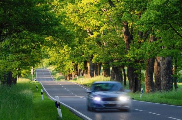 Clemen's Auto Repair