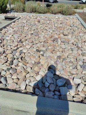 Renegade Rock Delivery