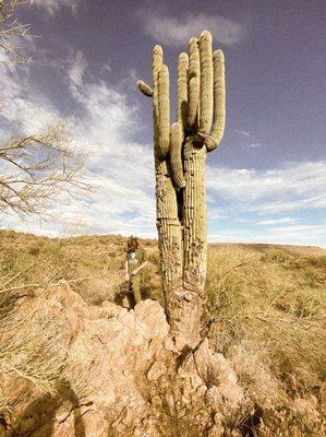 hard travis scott type photograph