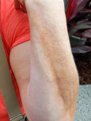 What the holy hell is this ??