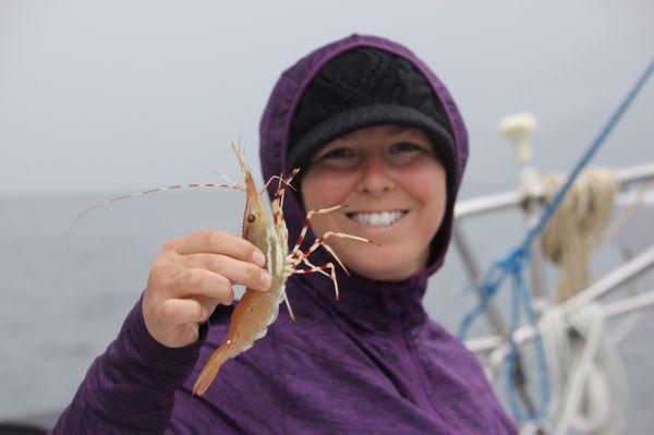 Alaskan Song Charters