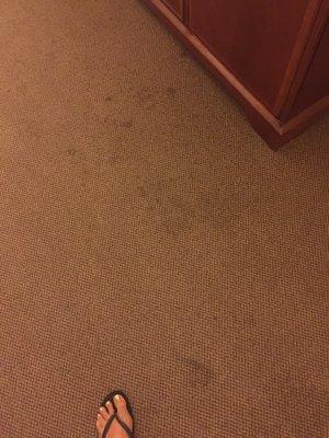 The carpet in the room is disgusting. Major stains and an old sock was left to greet us.
