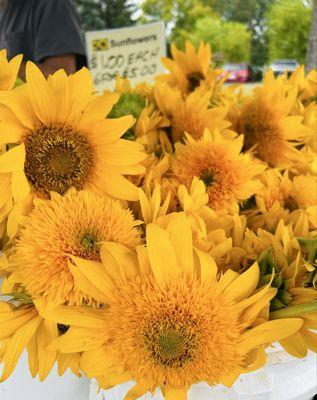 Brookfield Farmers Market