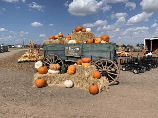 Maxwell's Pumpkin Farm