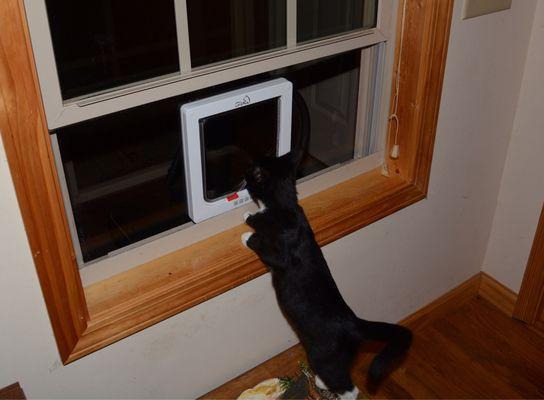 Cat Flap Fever Industries