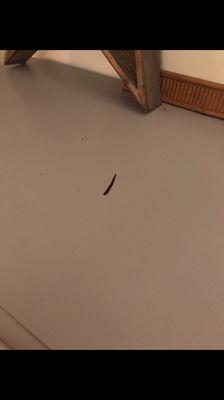 Bright Cleaning Service