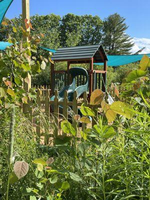 A Place to Grow at Harmony Place