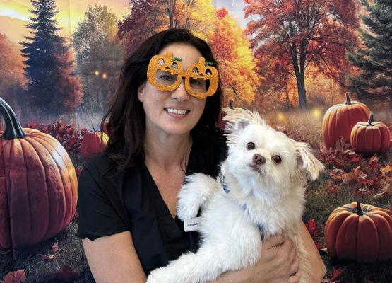 Come and get a picture made in front of this beautiful background!