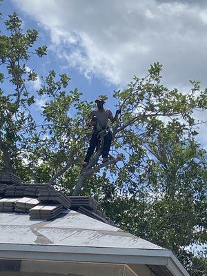 Magnificent Pressure Cleaning And More