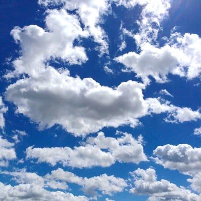 Tobbaco Gardens Resort & Marina