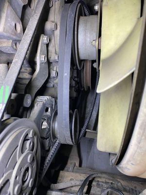 Mountainside Landscape