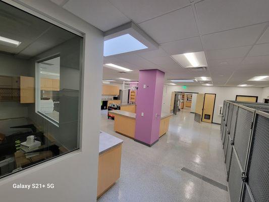 East Mesa Animal Hospital