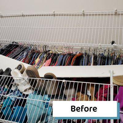 Bluebird Nest Organizing