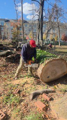 Hummingbird Landscape & Remodeling