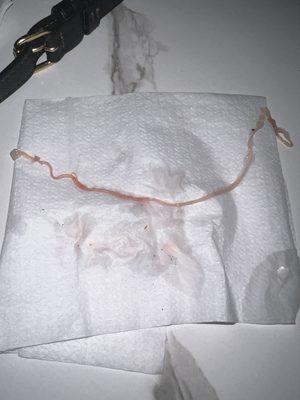 Mason Restaurant & Lounge