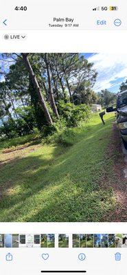 To The Top Tree Solutions