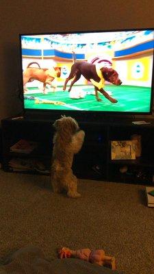 Cross Veterinary Clinic