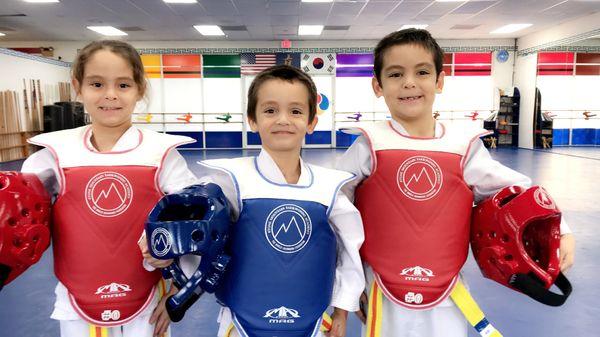 Stone Mountain Taekwondo Academy