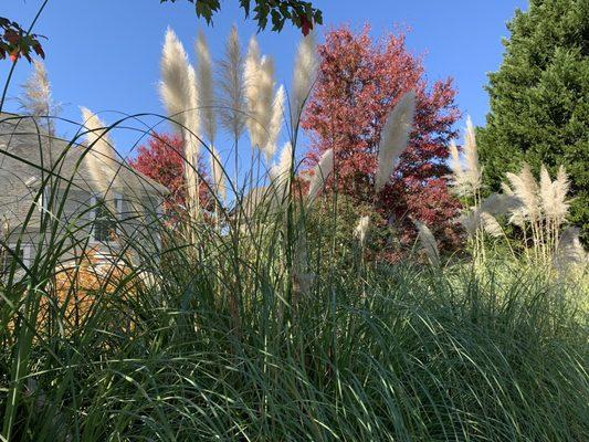 Tega Cay Beach Club & Swim Center