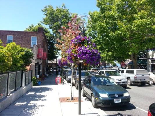 Sebnem Oden- eXp Realty