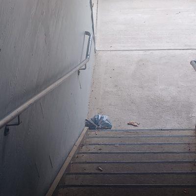 Creekside at White Oak Apartments