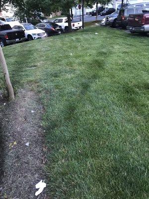 Potomac Club Owners Association