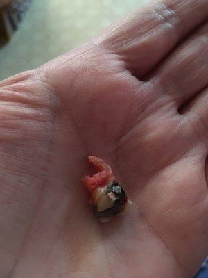 Jeffery D Hartman, DMD - Total Health Dentistry