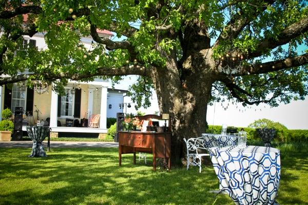 A wedding reception in the front lawn at P. Allen Smith's Moss Mountain Farm