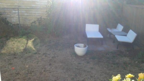 Backyard is much bigger than picture with safe, high fence.