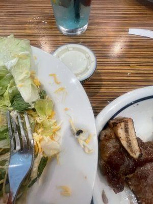 side salad and t T-Bone Steak Dinner