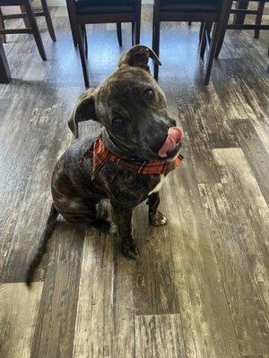 Personal Touch Grooming & Boarding