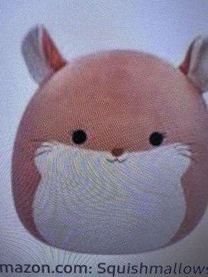 Squishsmallows Hamster