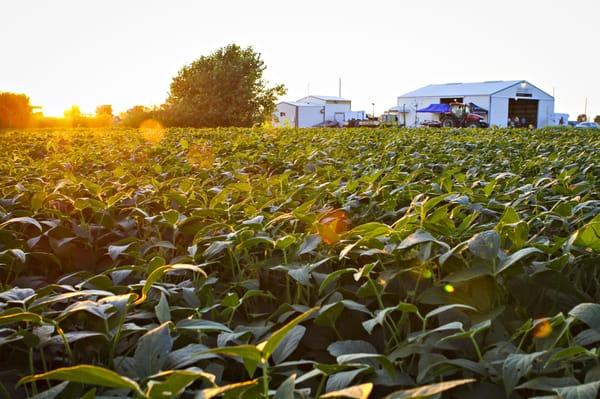 Graves-Chapple Research Center