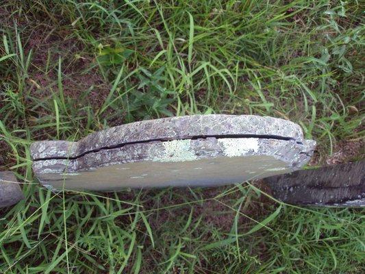 Ye Antientist Burial Ground