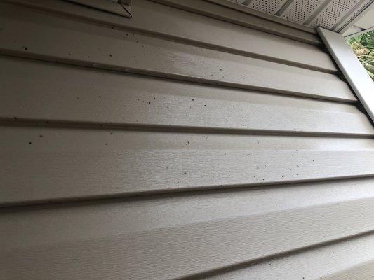 No Pressure House Washing