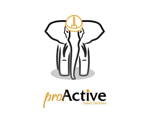 proActive Safety Services