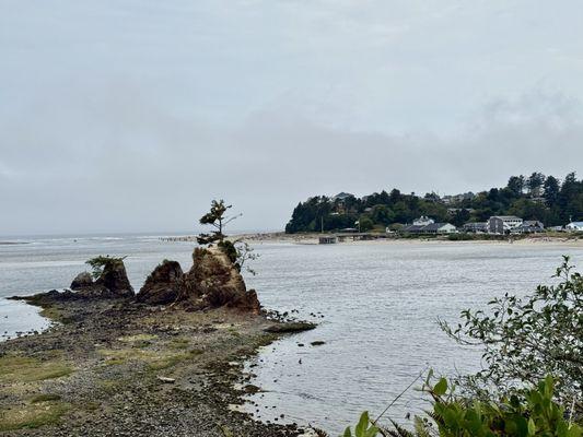 Small islands at month of the river