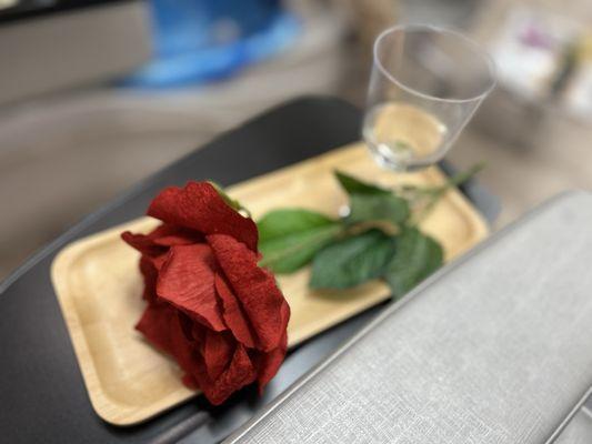 Cute glass of wine brought to me - on the house! Spoiled indeed!