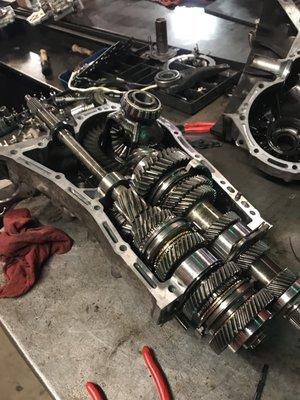 Bedell Transmissions