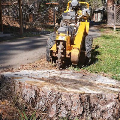 Mark's Stump Grinding