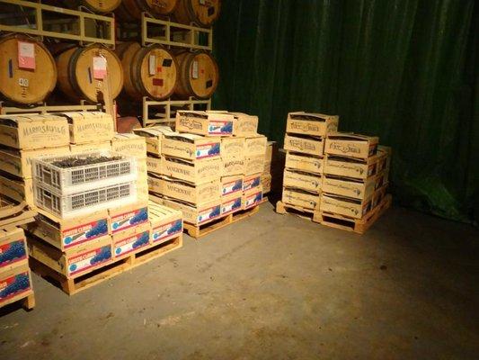The Wine Press