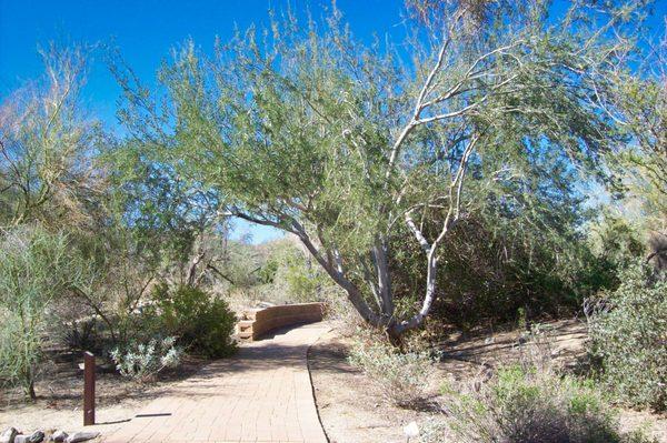 Friends of the Desert Mountains