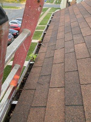 Molinas Fence and Remodeling