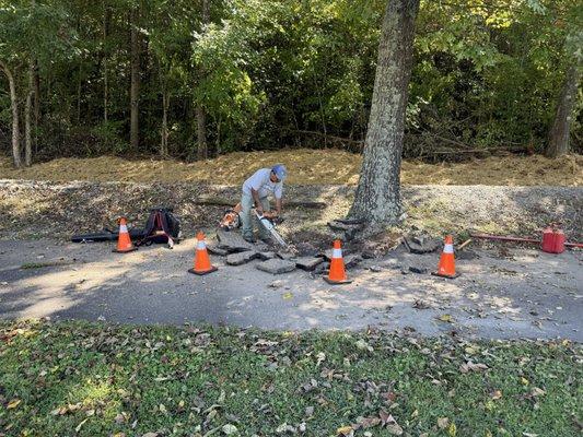 Danny Trejo Landscape