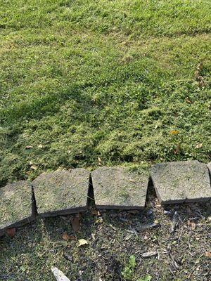 Louisville Tree and Landscape