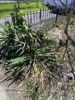 Top Notch Landscaping